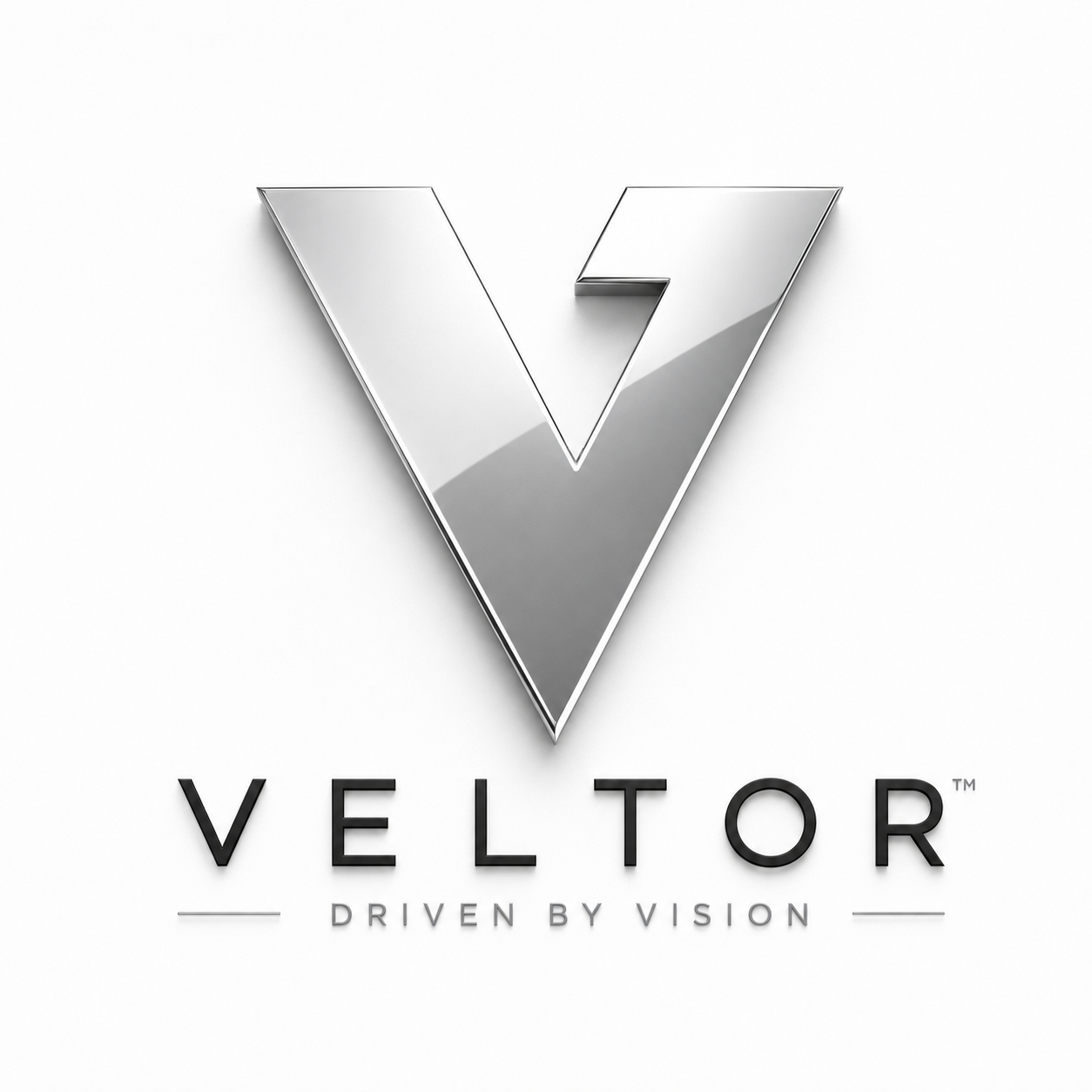 VELTOR Driven by Vision